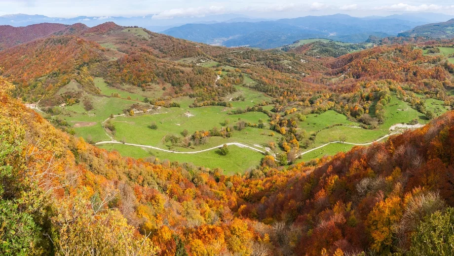 Landscape of La Garrotxa in autumn with colourful forests, green meadows and mountains.